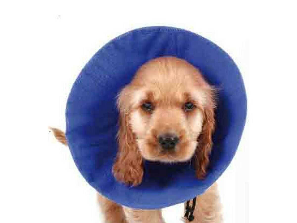 V11H74FDB7164A7B082376D18E3FF9BAB1A5R5461367P1