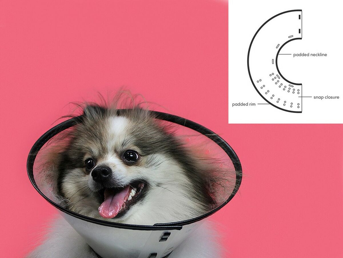 V11HFE72B799D8C72E7BAE2CFAAB6585A31BR5461349P3