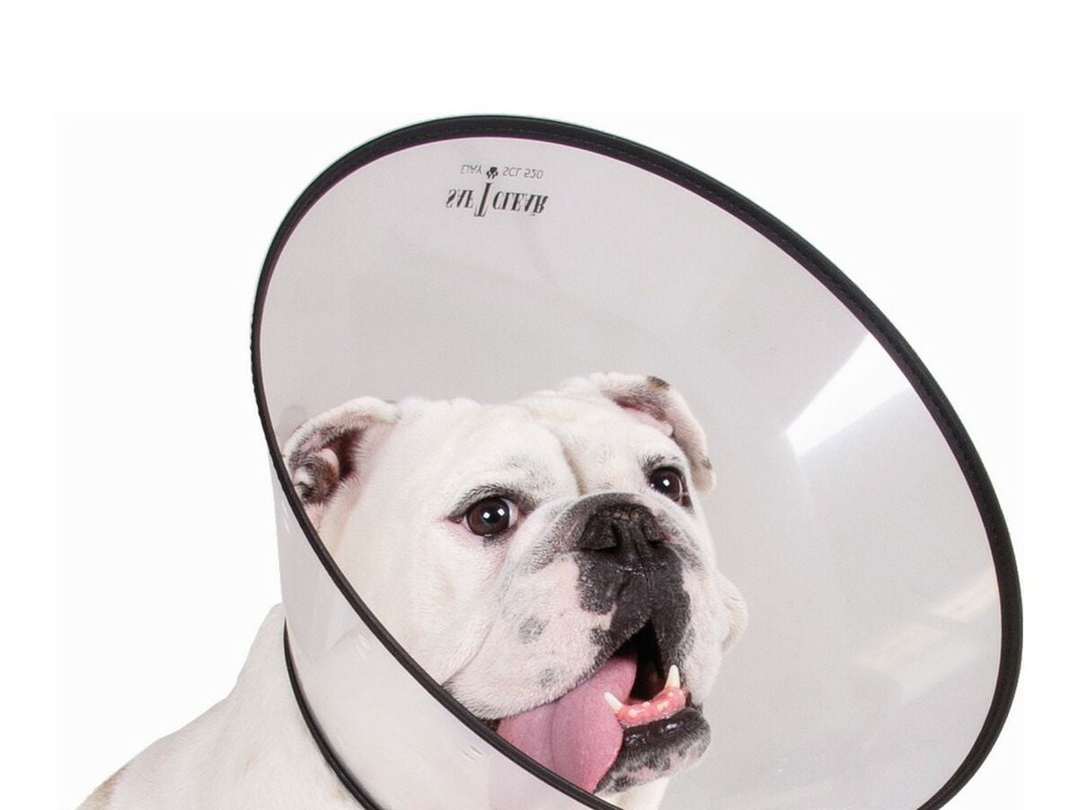 V12H24E049DA259AF0D6B51BFC40898A2111R4960343P1