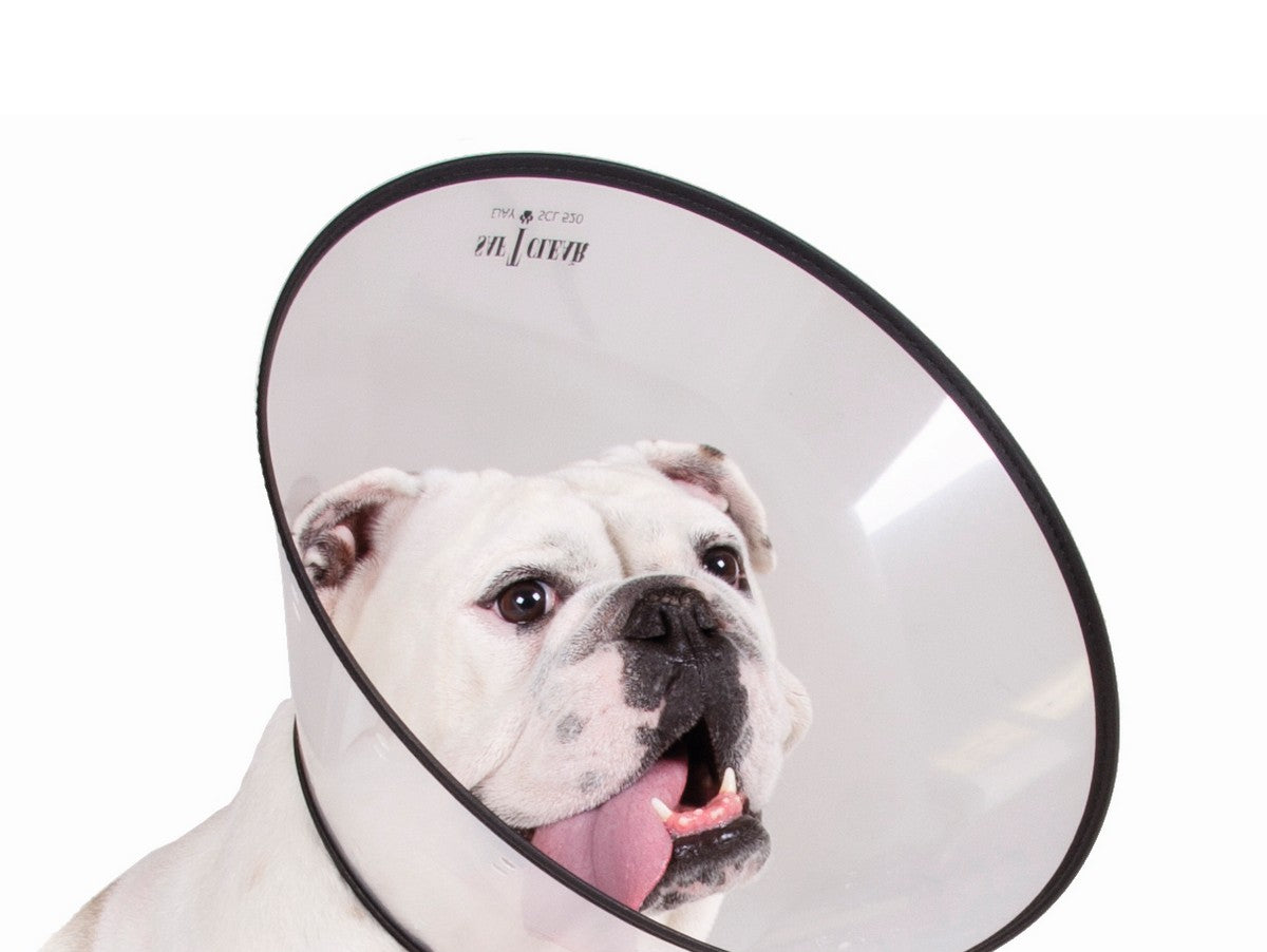 V10HCE64F94729A8F6076E1CC04E87033653R4082703P1