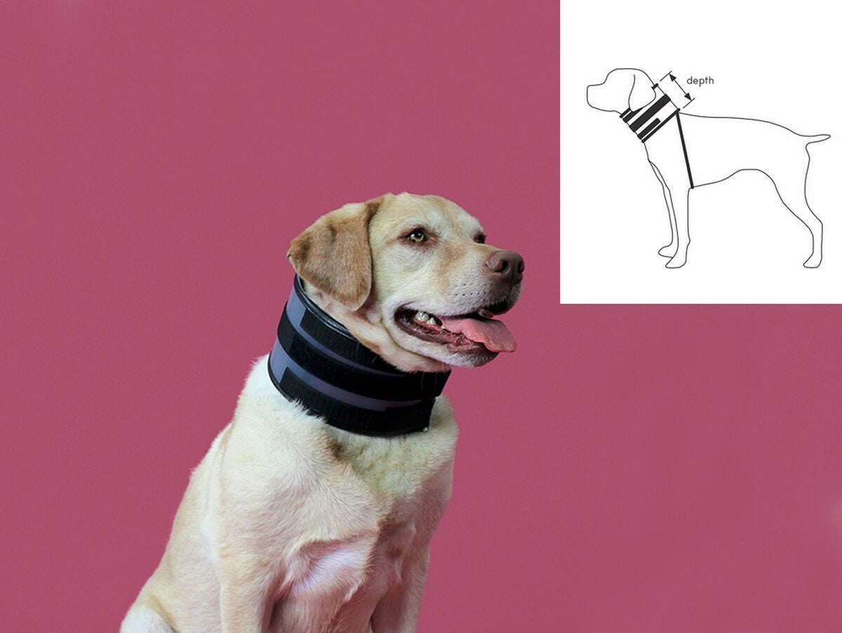 V13H5B72DFAE777289E4960ACE5D216D0978R4073063P2