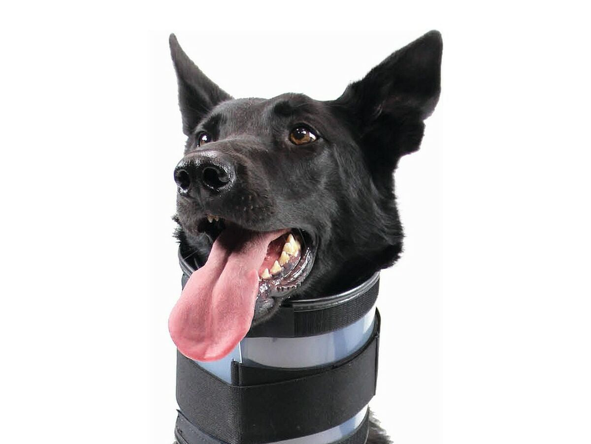 V14H84840B4A39B2BFB0BE9FF9B239F2ECD4R7106819P1