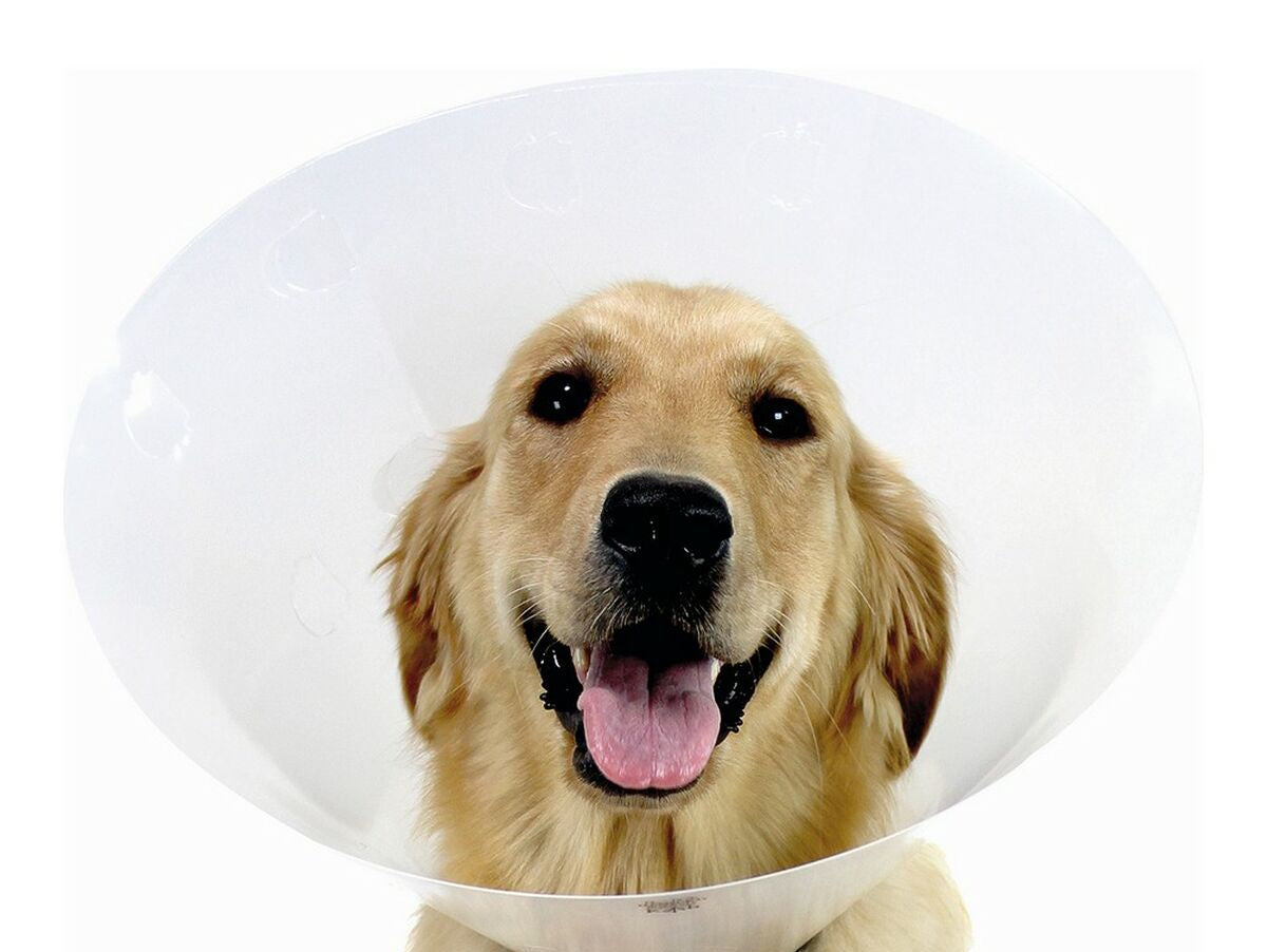 V11H405E83CBCCFB1377BBF76F6E95833C34R3418382P1