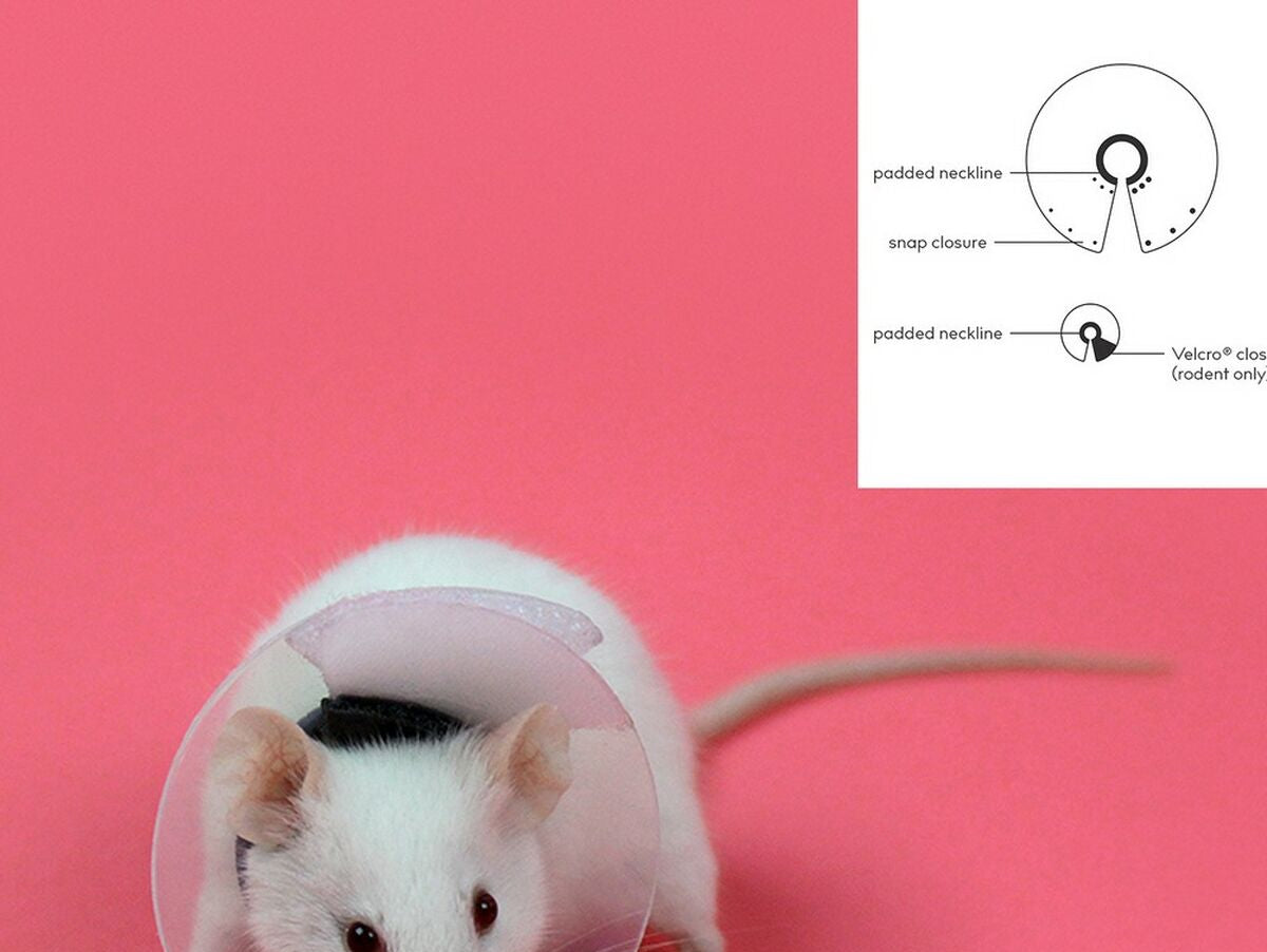 V12H0C4804A5E18FDD210D51493F57FDFDD6R4262291P2