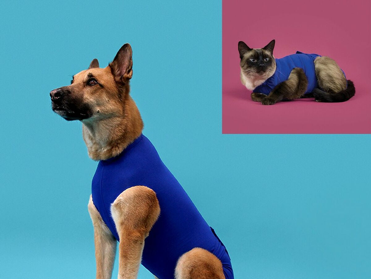 V12H117F5F92AD11614C81A598D5DA221249R5461373P2