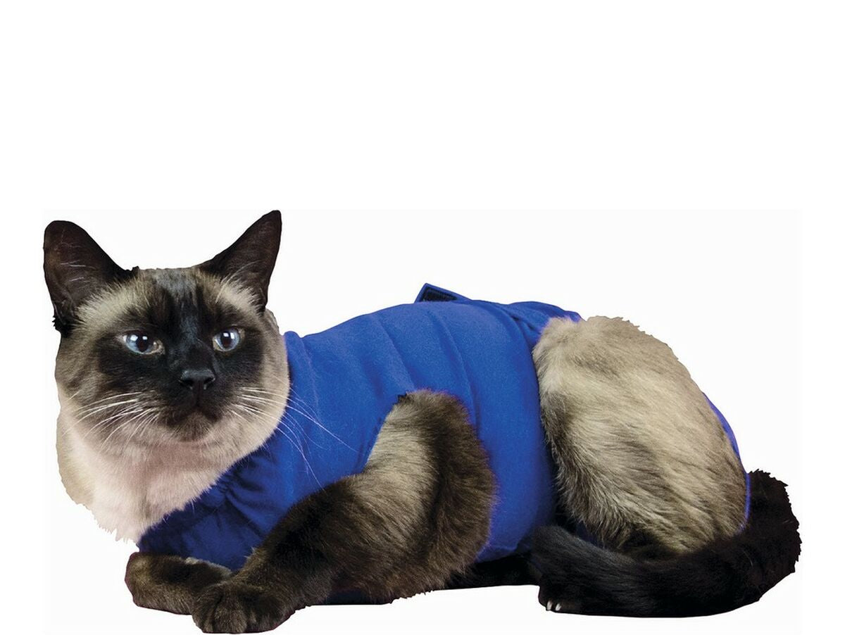 V11H46775EC084016C661E2F4D8C82757A1ER5358559P1