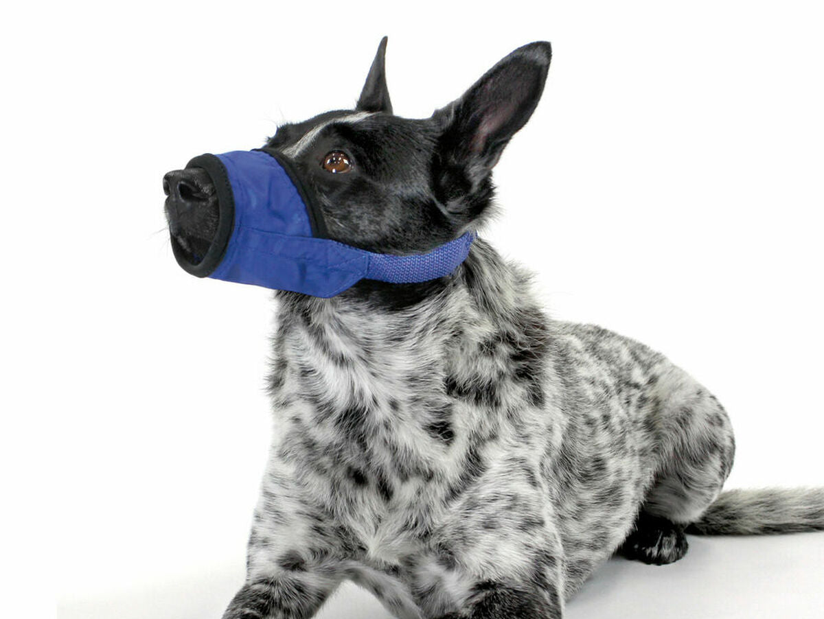 V4HA7623F05B476F3D8D15629ABFBBE813AR4496527P2