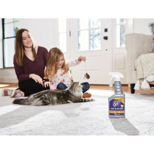 V5H891C5FBF6E2EC851B79AE18703DB697FR4978033P2