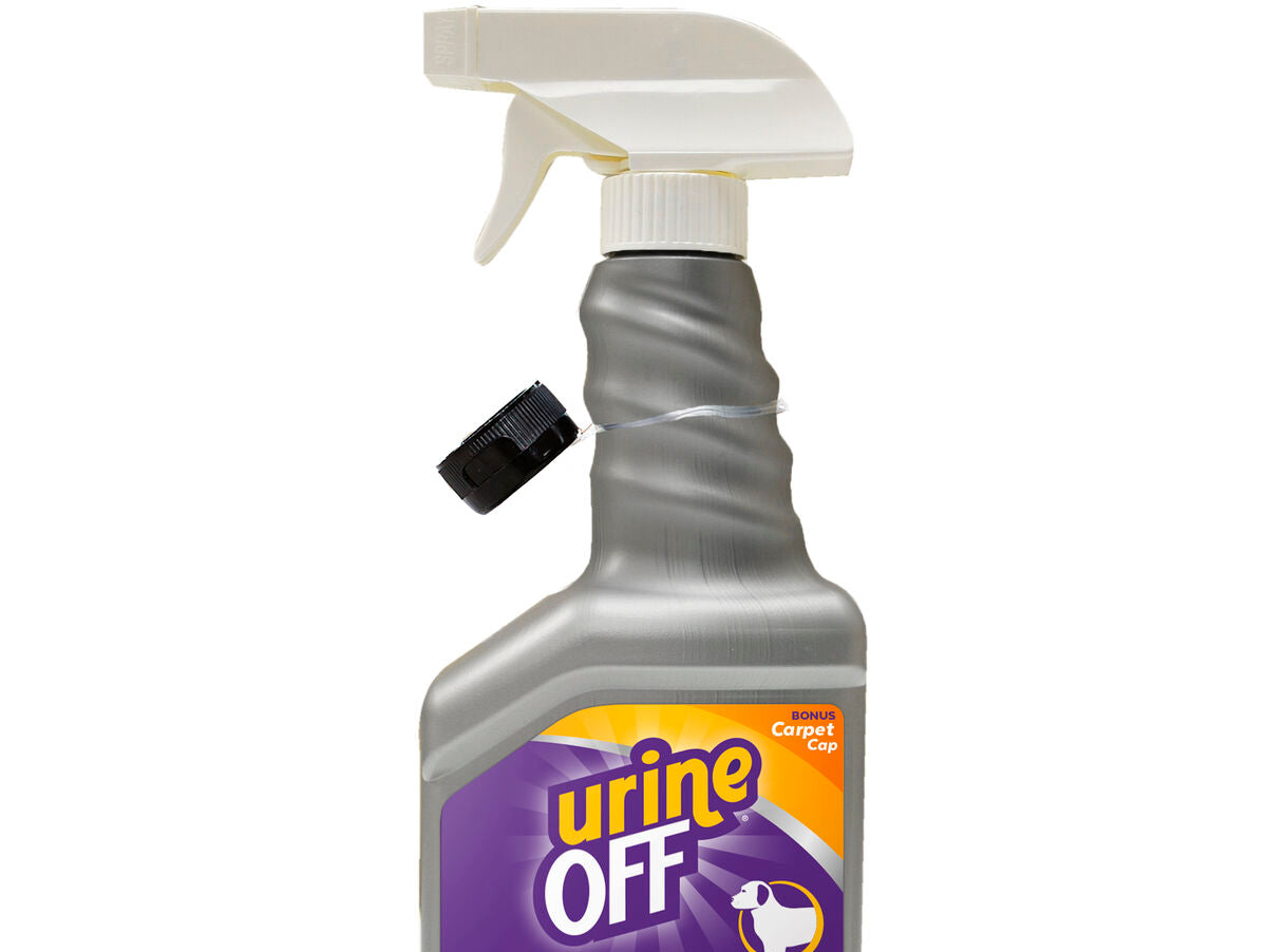 V8H648CB6CAA97672E92CA1D2AB5F8A6A2CR4158715P1