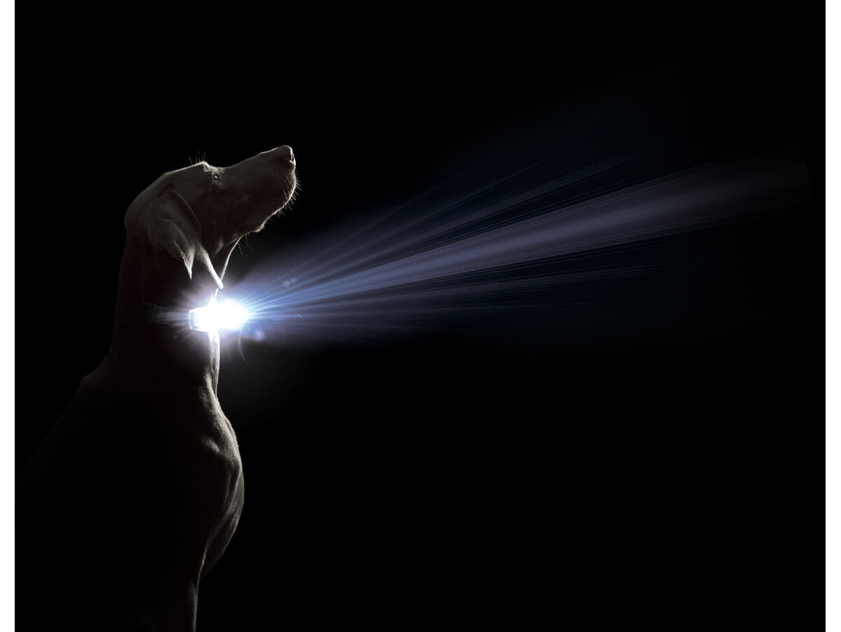 V5H93AFADD3BDADE82E7A9467DEB7FA5D10R5554908P2