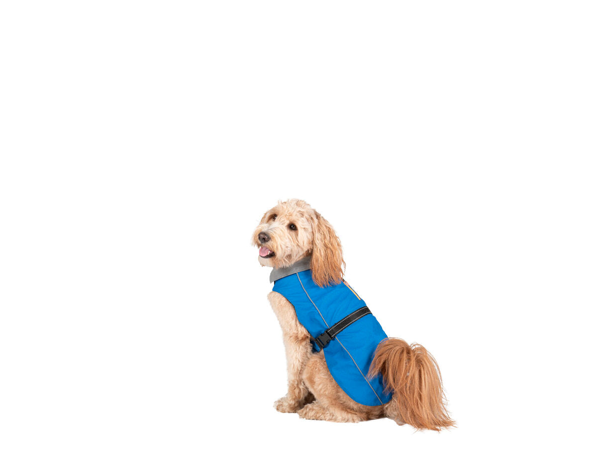 V6H319B1BE1594984E573C14A98C63E97D7R5332658P2