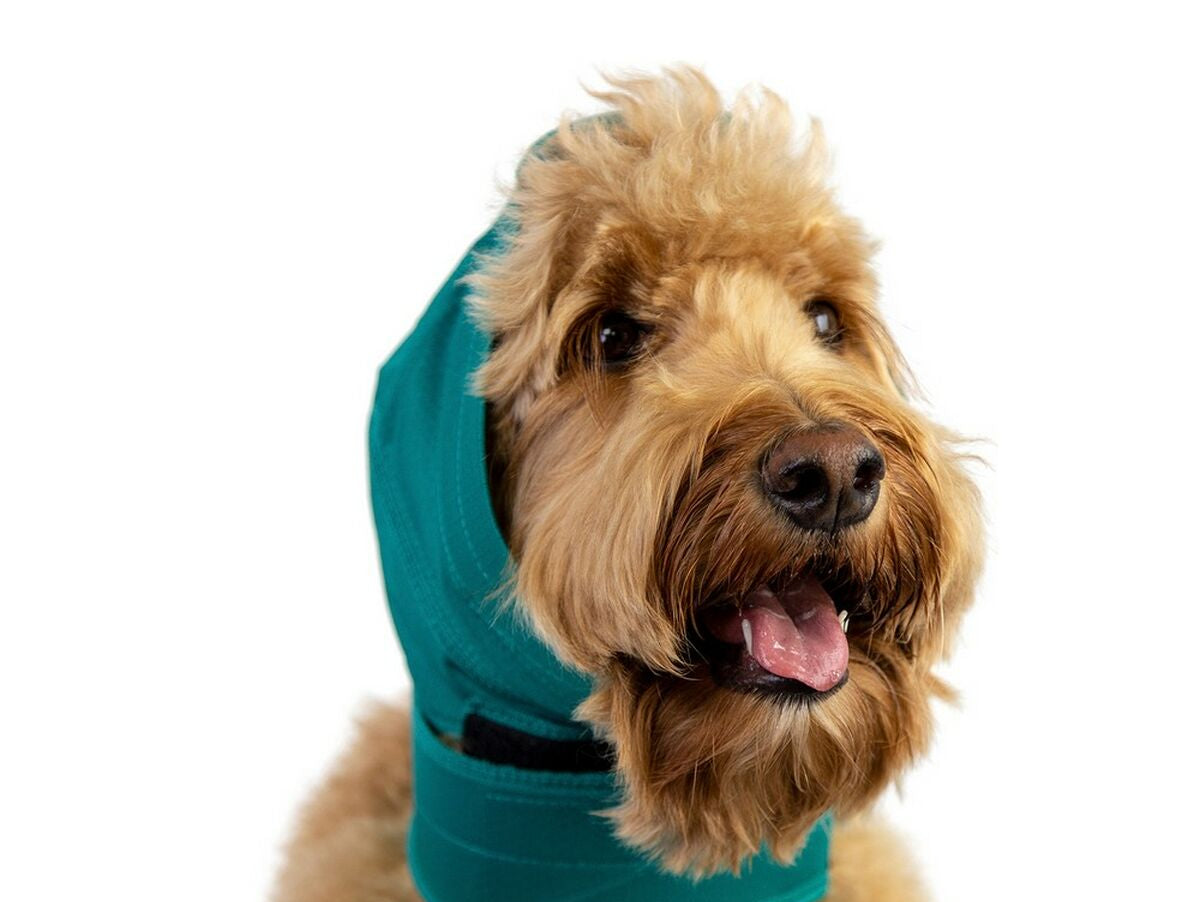 V11H830F6270B554D487C91C3D597D3533CDR4103282P1