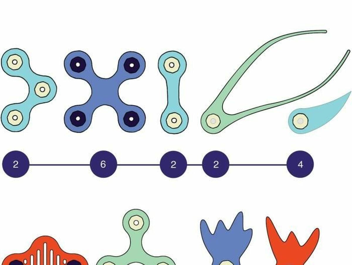 V5HDB14E3164EDD97347E675A2A98B8103AR5918563P3