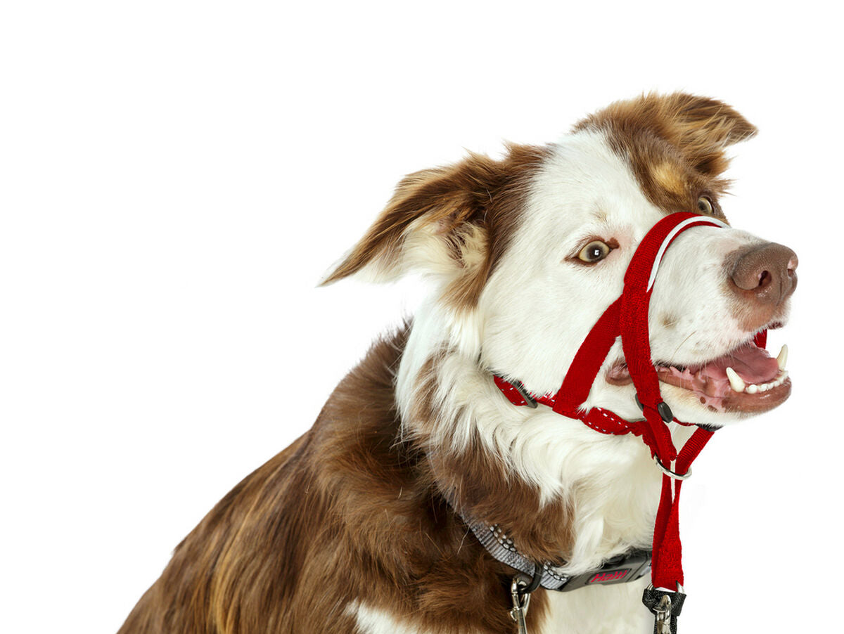 V10H2B1705D2F8199BA3CBAFE5713D905A27R3725561P2