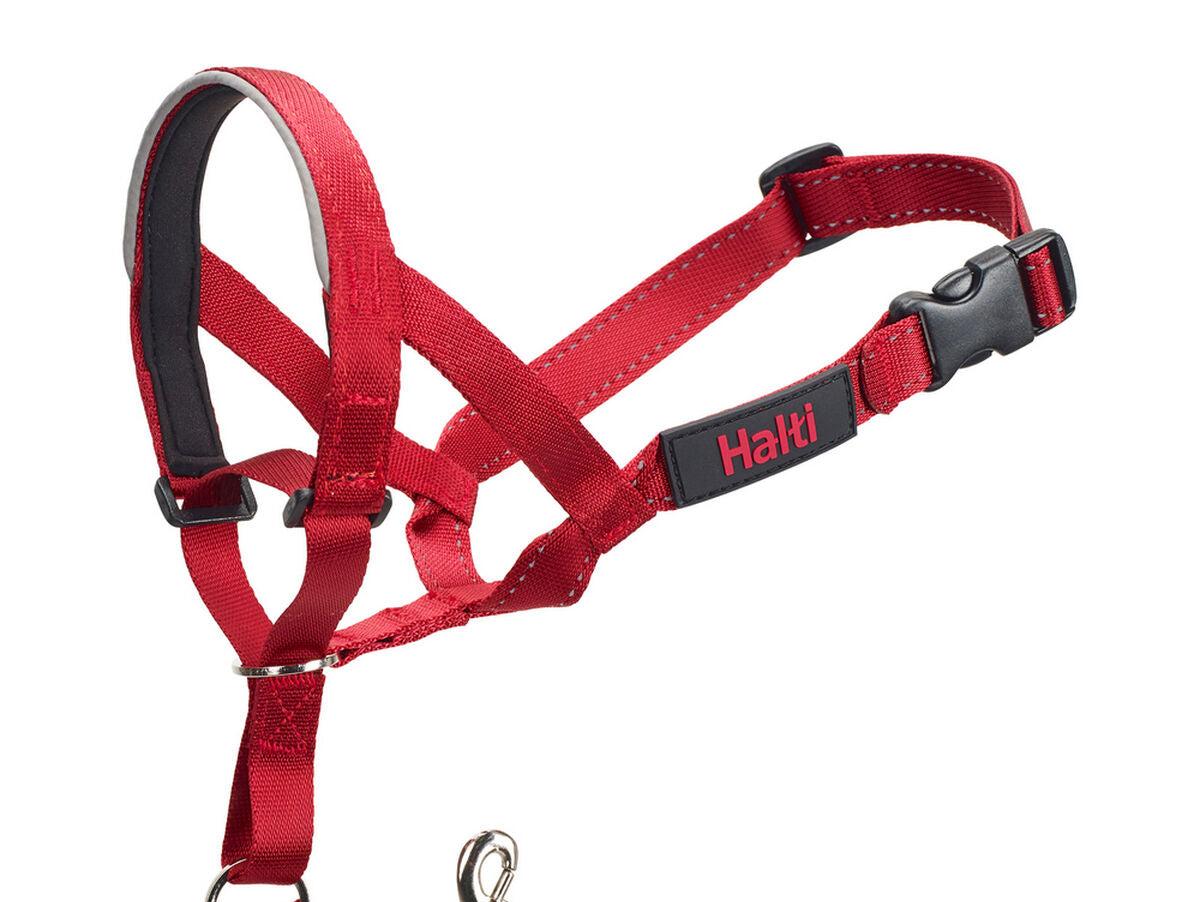 V10H5808AAB9D180DE8CEECF9427BDEABC94R5597854P1