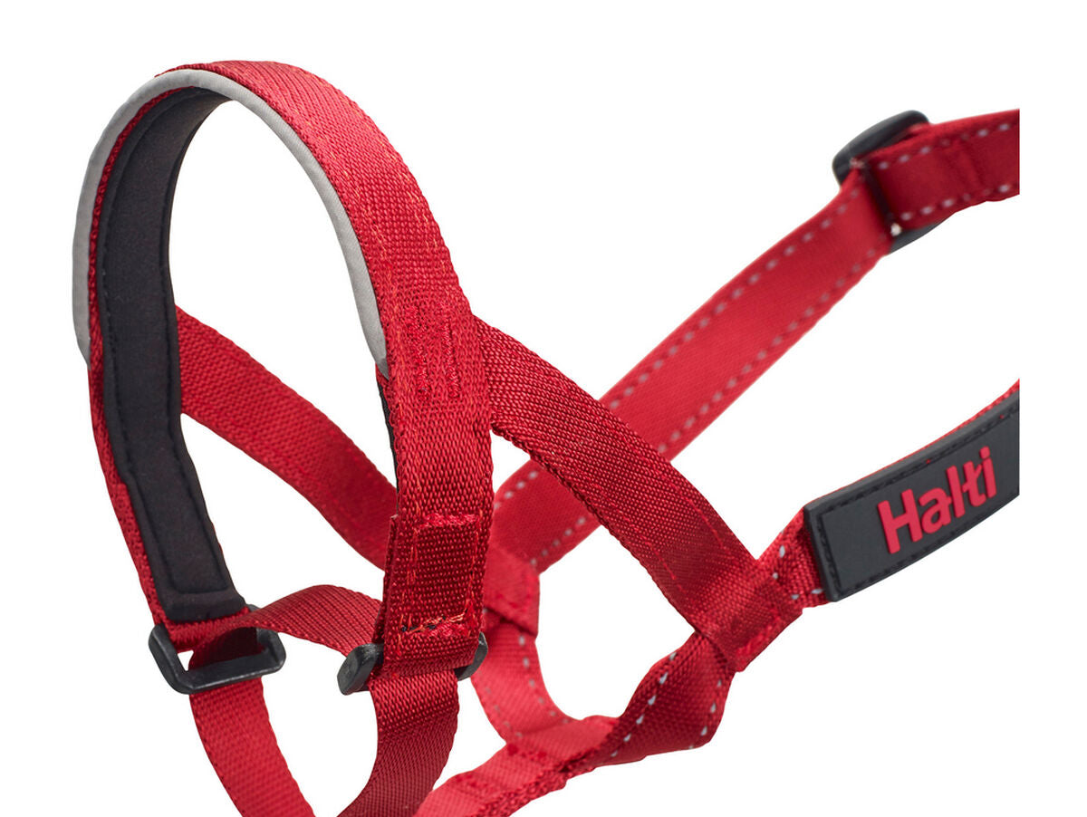 V10H0D193030A63CFF672C583C0D6B6E40E0R5597856P3