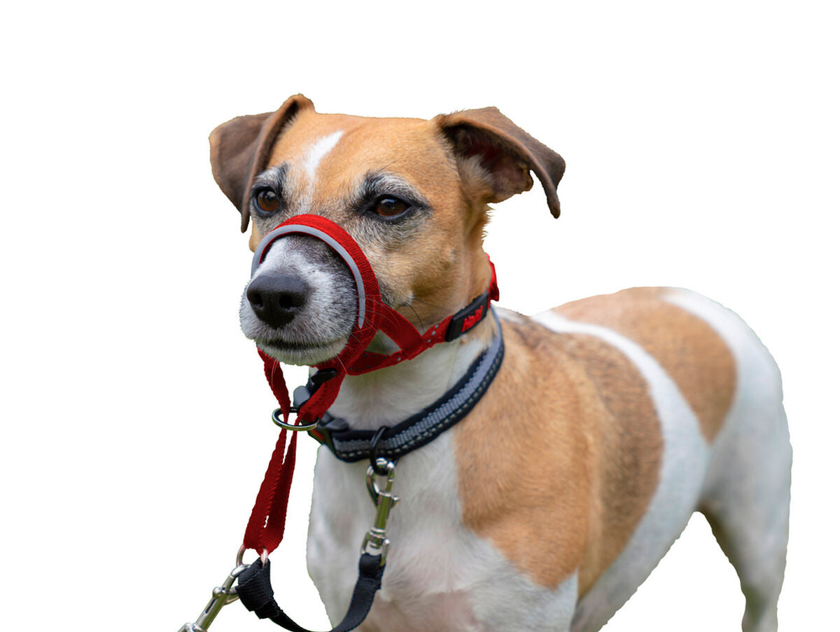 V10H64870ECE587BDDD29159FB38A7FFEF00R5597860P6