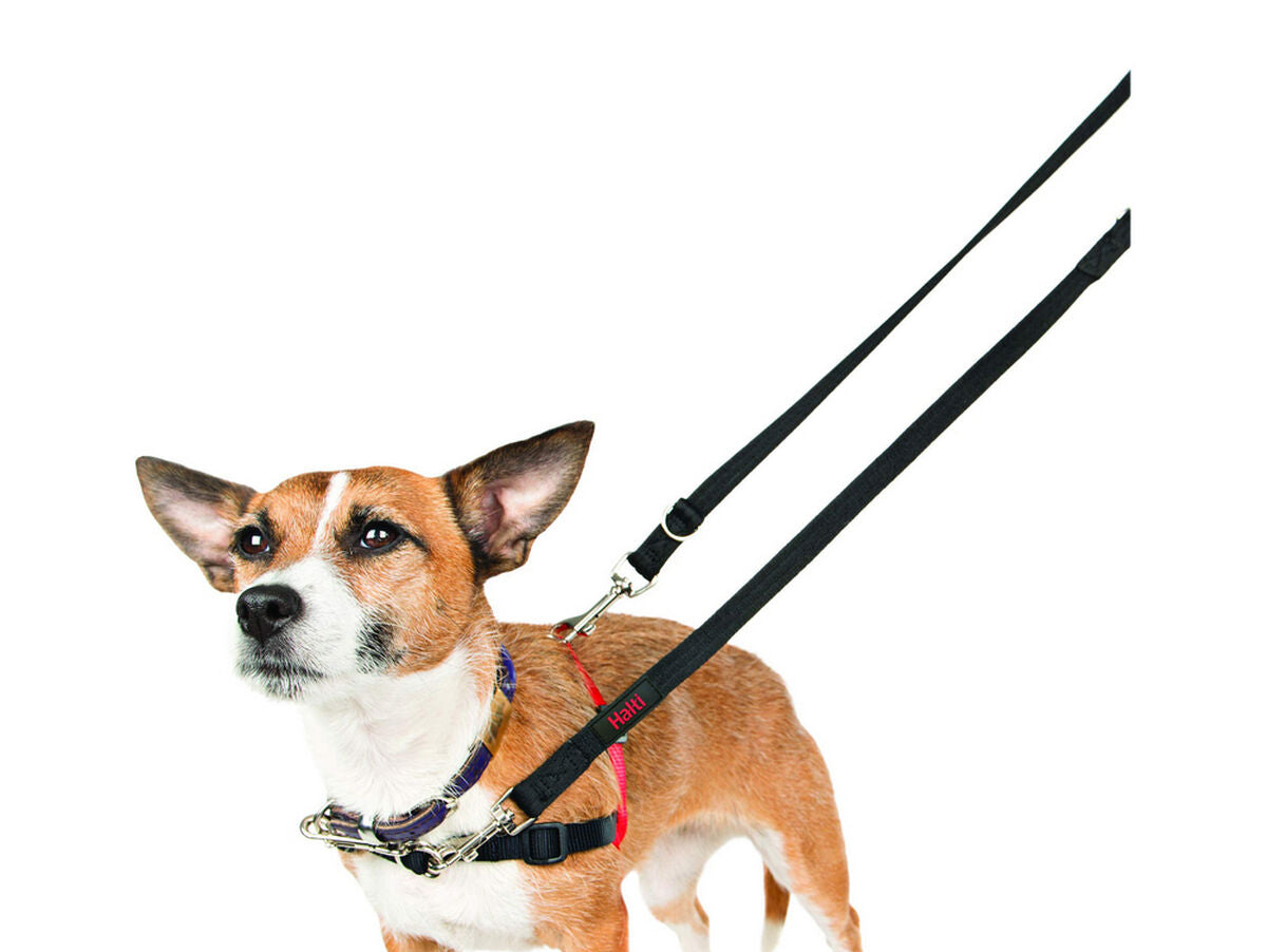 V10H9839CB03E0236BBDF4E92293A592A953R4989106P2