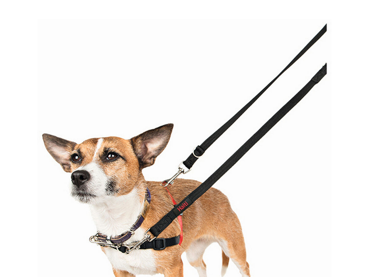 V10HA4A71F55B9573CCFA1C04EAE599DB8D4R4989109P5