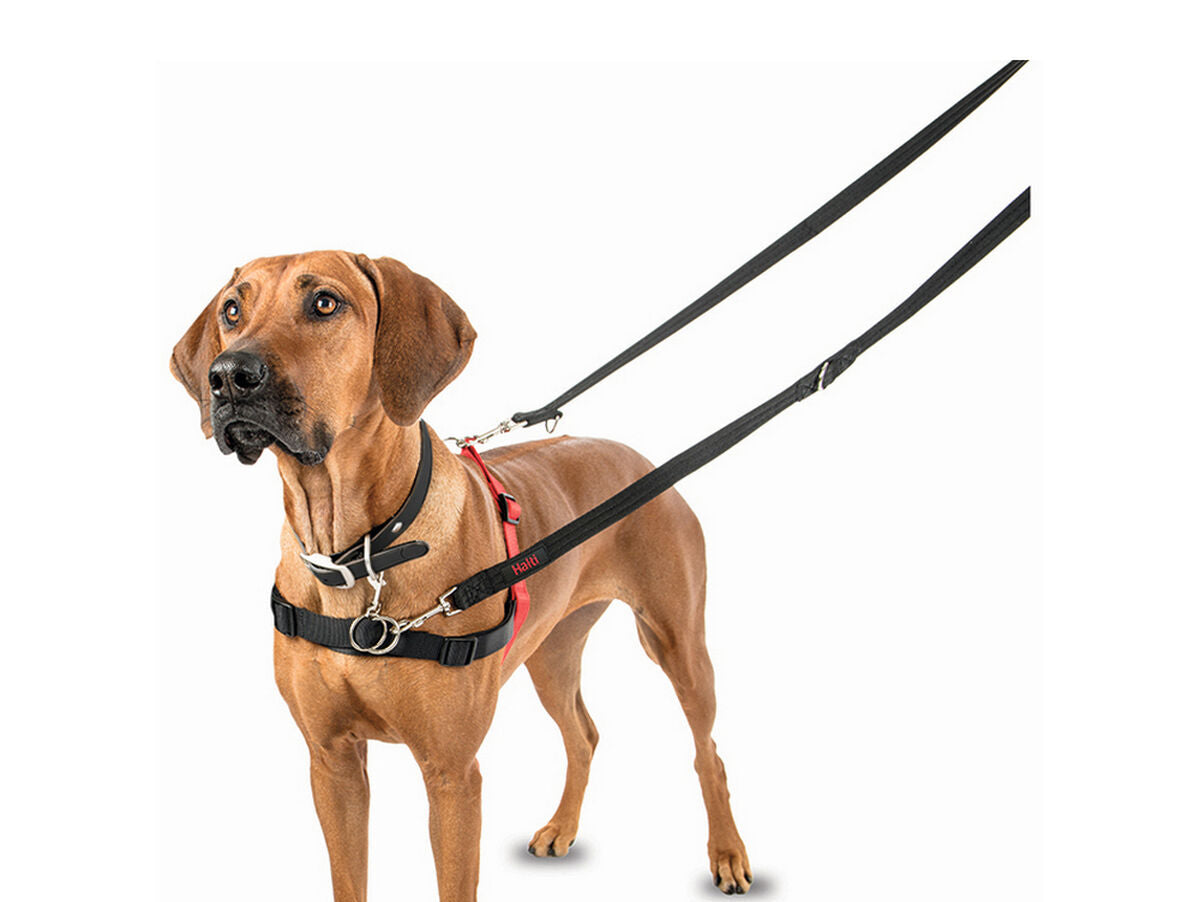 V10H992C9FFF53D42DEE887FDECBFA6B18ABR4989110P6