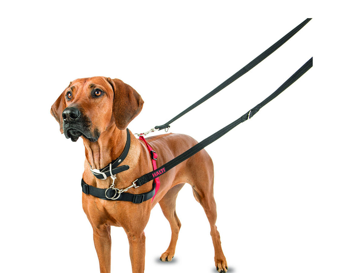 V12HA4D3D3A35B95E2BB7854A0A59B63A800R3943728P3