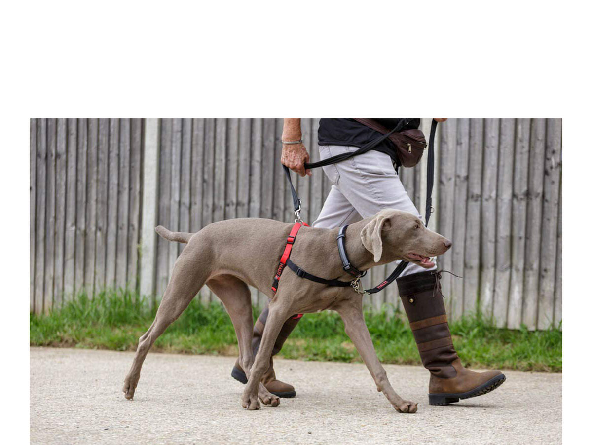 V12HF4784E0370A272E3413DBA890C365044R3943729P4