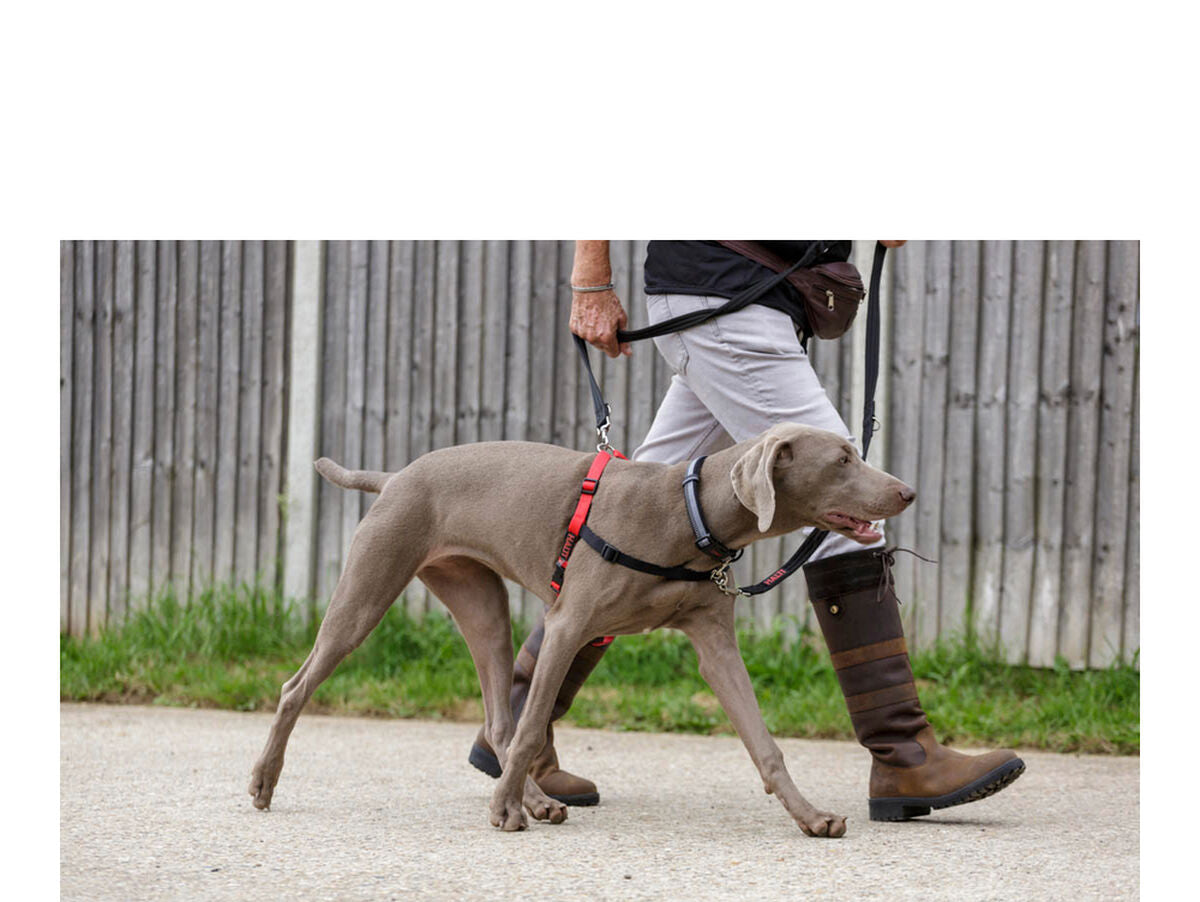 V12H9A68FCB274EA78D1AE97A603B456A83ER3943733P8