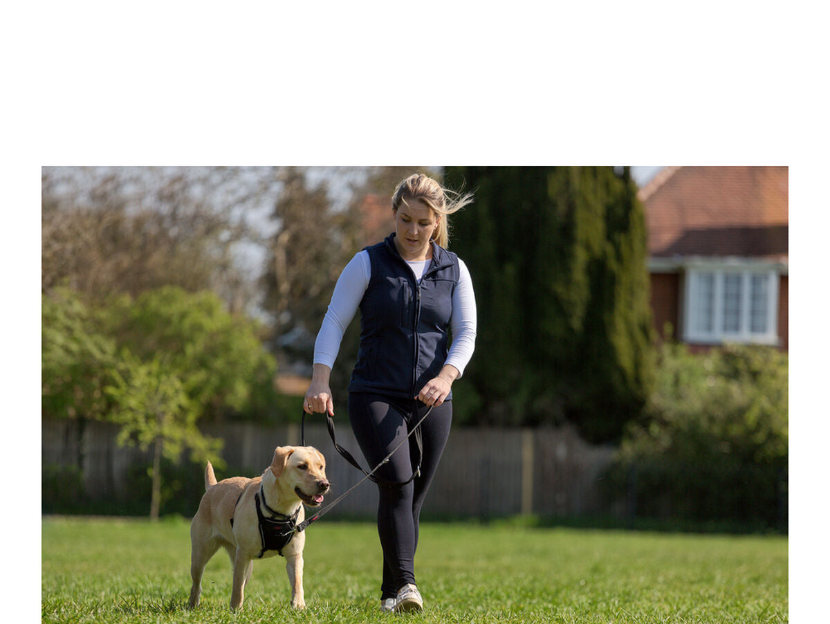 V11H2ABB441D8C1C4BEC273C2C3CC616EB40R4989161P4