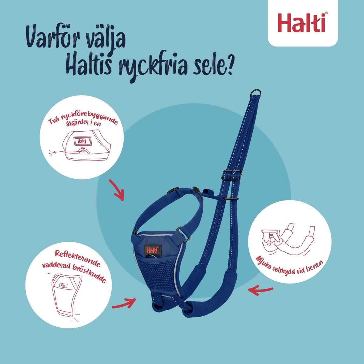 V4H63E6B04740E755A4F167D7C8B07217BDR7523511P3