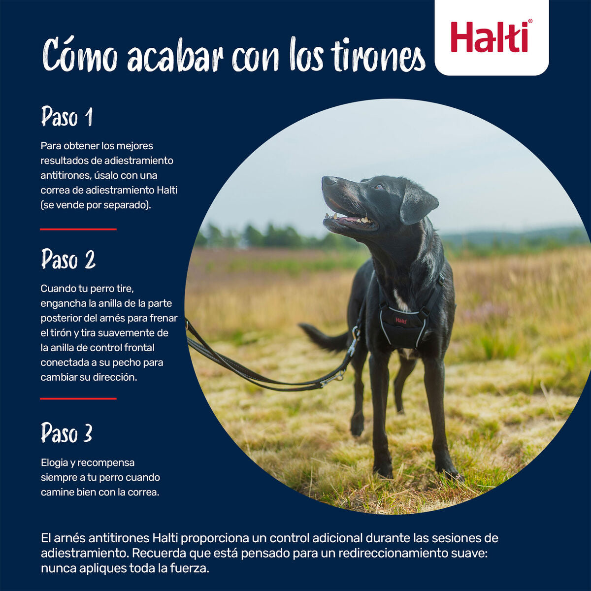 V4HCD8D7CB0C98438B90A54DDF47033E512R7523516P8