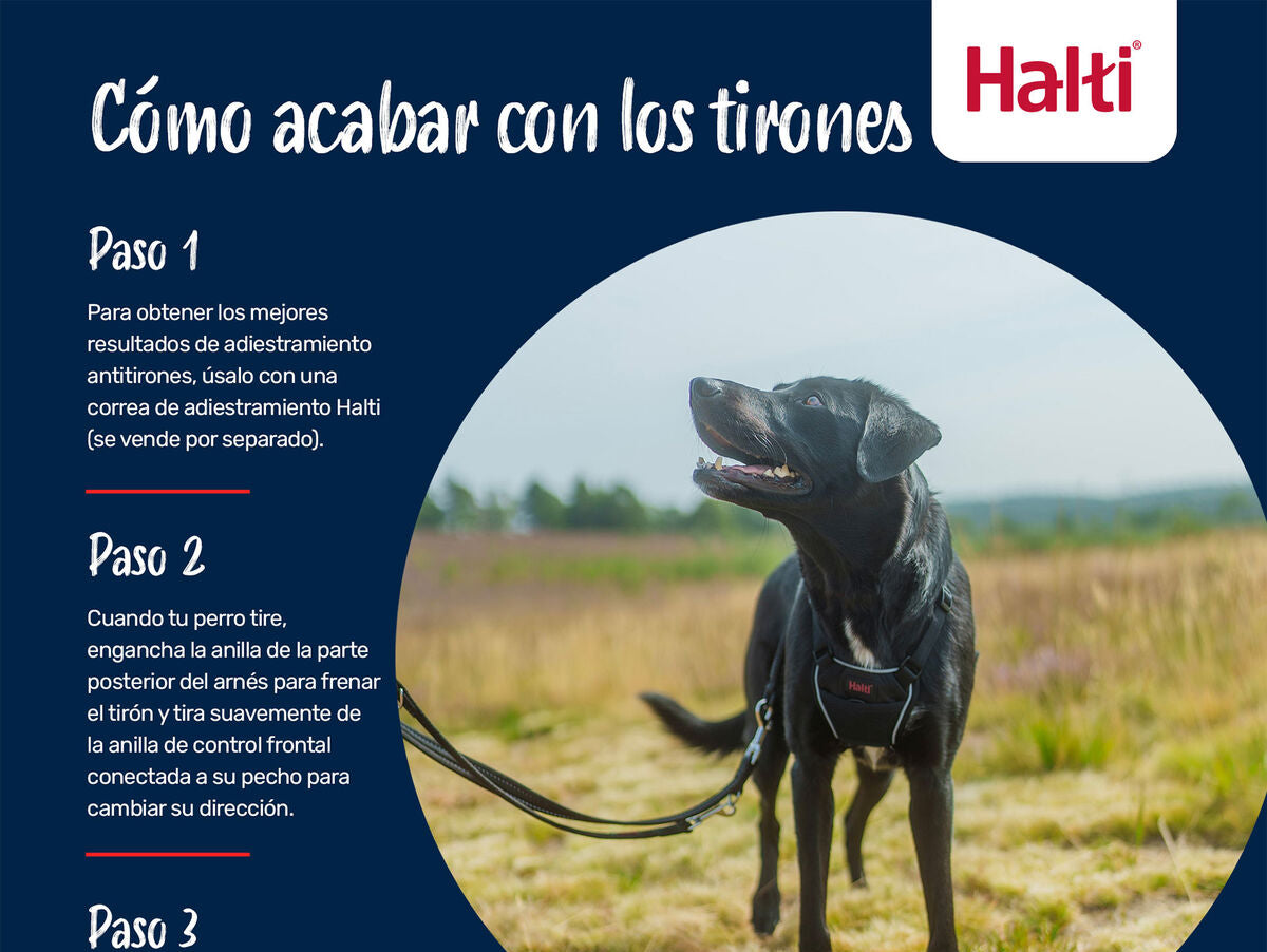 V4HCD8D7CB0C98438B90A54DDF47033E512R7523516P8