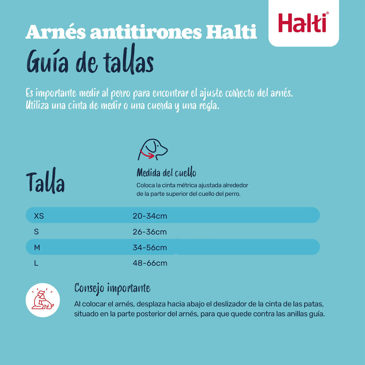 V4HDF737C409FBC47EE55F5B889DB60798BR7523517P9