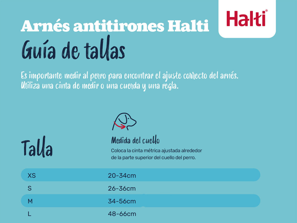 V4HE8F51B195D45CB9F25F63BD084B9A53FR7523834P9