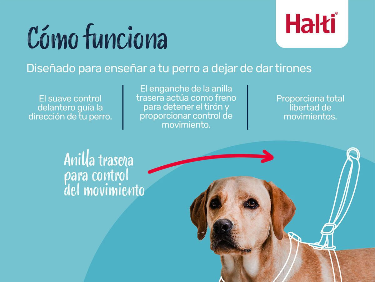 V4HC7740FEF0B43E19BC4F7DC3A7D6D2E67R7523820P7