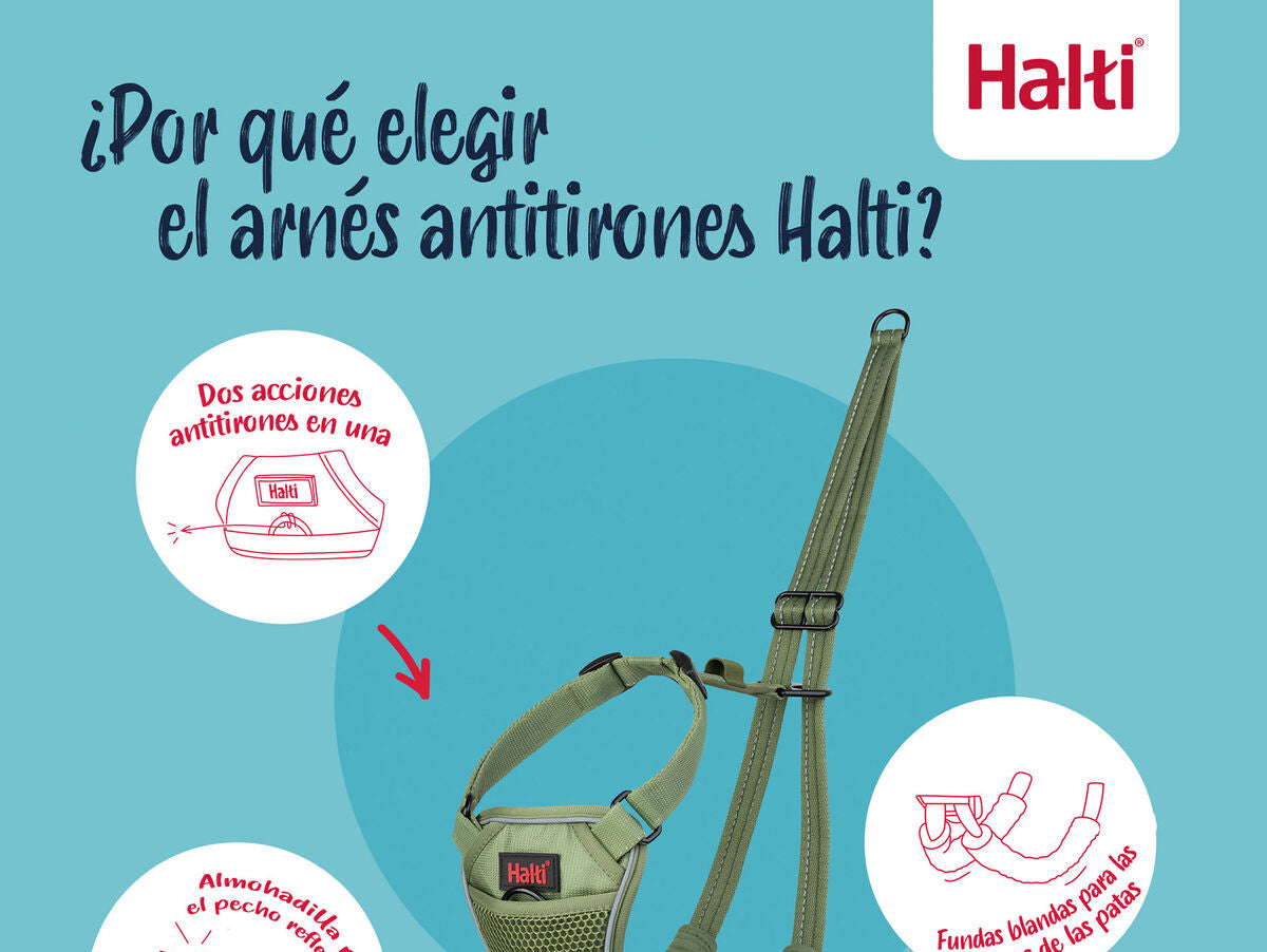 V4H0F7E9A102D1EB91A1CEF8124B12BBBB2R7523711P2