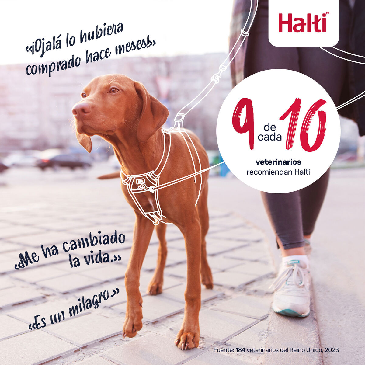 V4HFB37331ECEC76D2C023FC2A1528C91DDR7523719P6