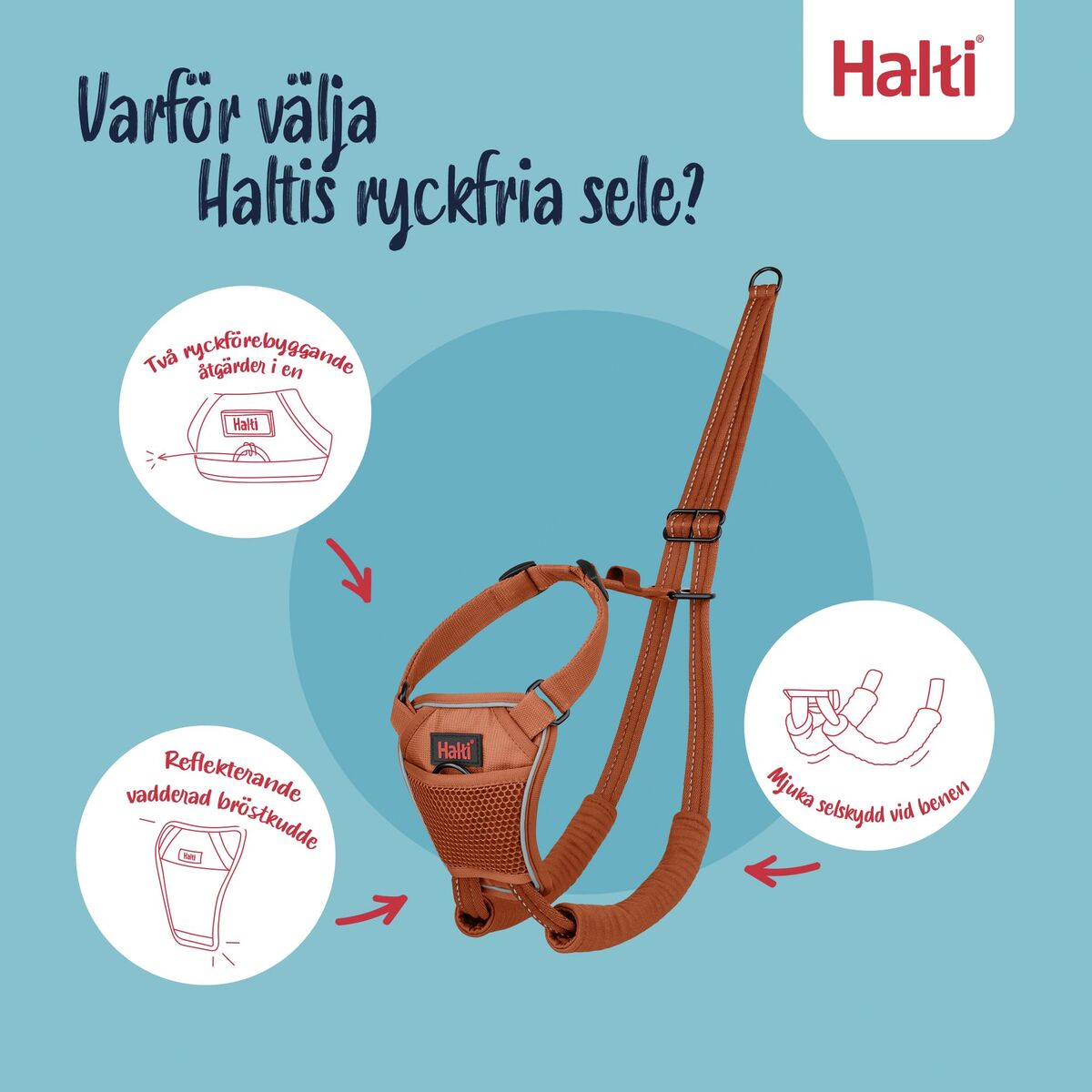 V4H047ED1ADE9B9C99FB065785AAD4A8EB2R7523722P9