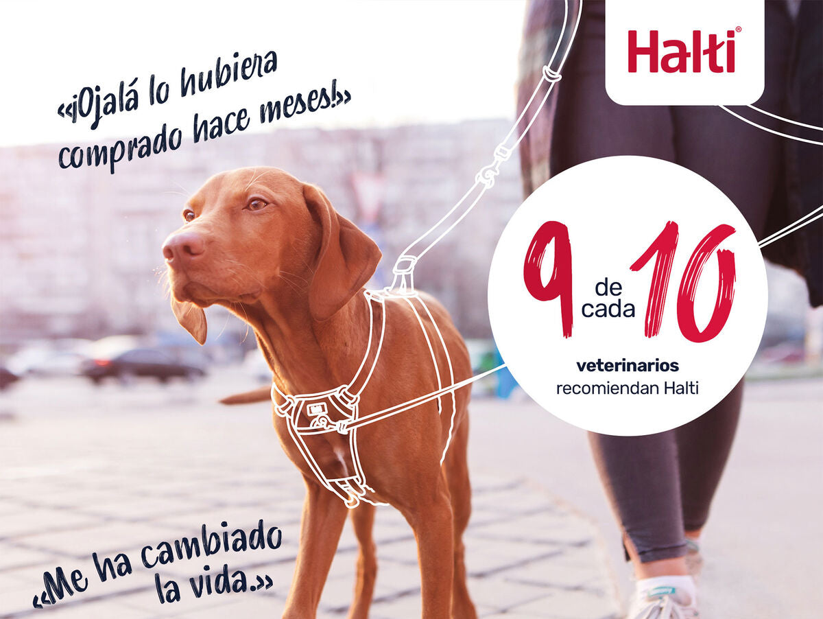 V4HFC726089C124F4653BF4BF00E2544AFFR7523714P5