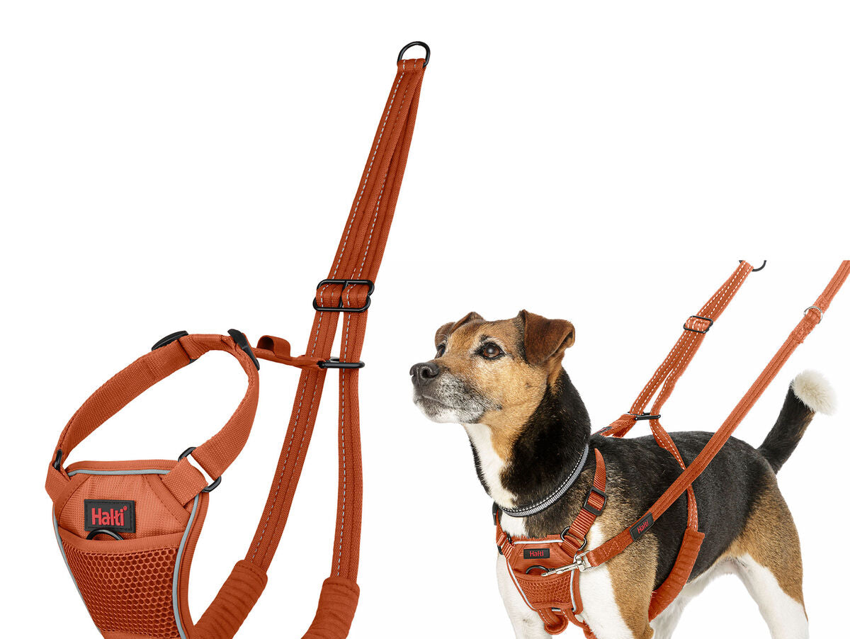 V4H7D7247991776298D5A2CFB6252631B5AR7523700P6