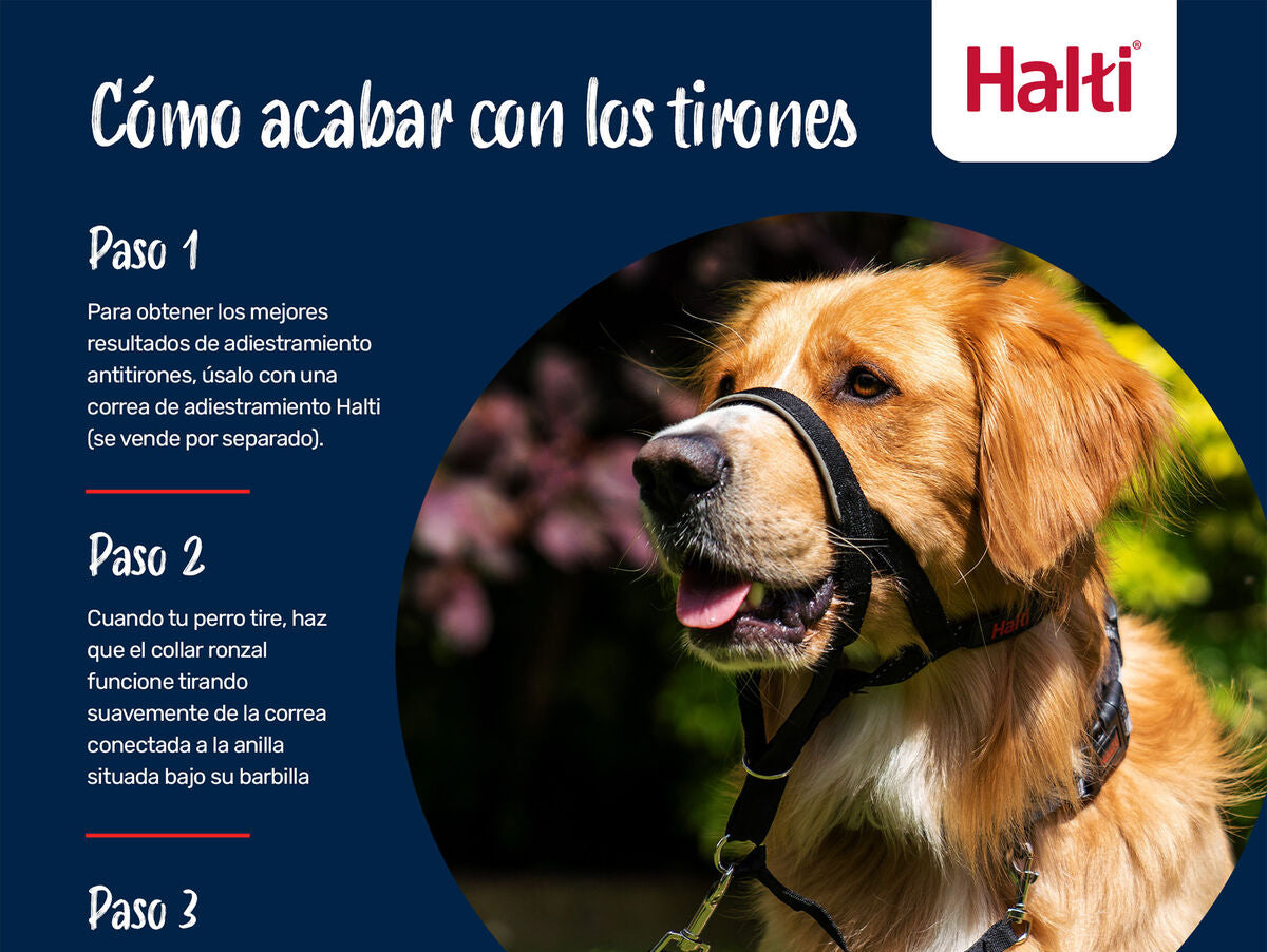 V4HE95582880B69B637EB14DE5CEDBF12B5R7523947P3