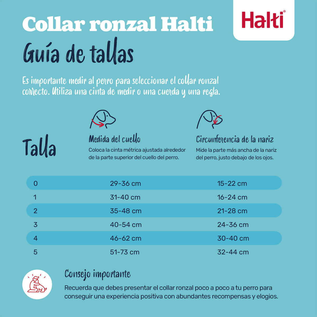 V4H9B7BC6F7D55A672791D4E6038C76D746R7523931P2