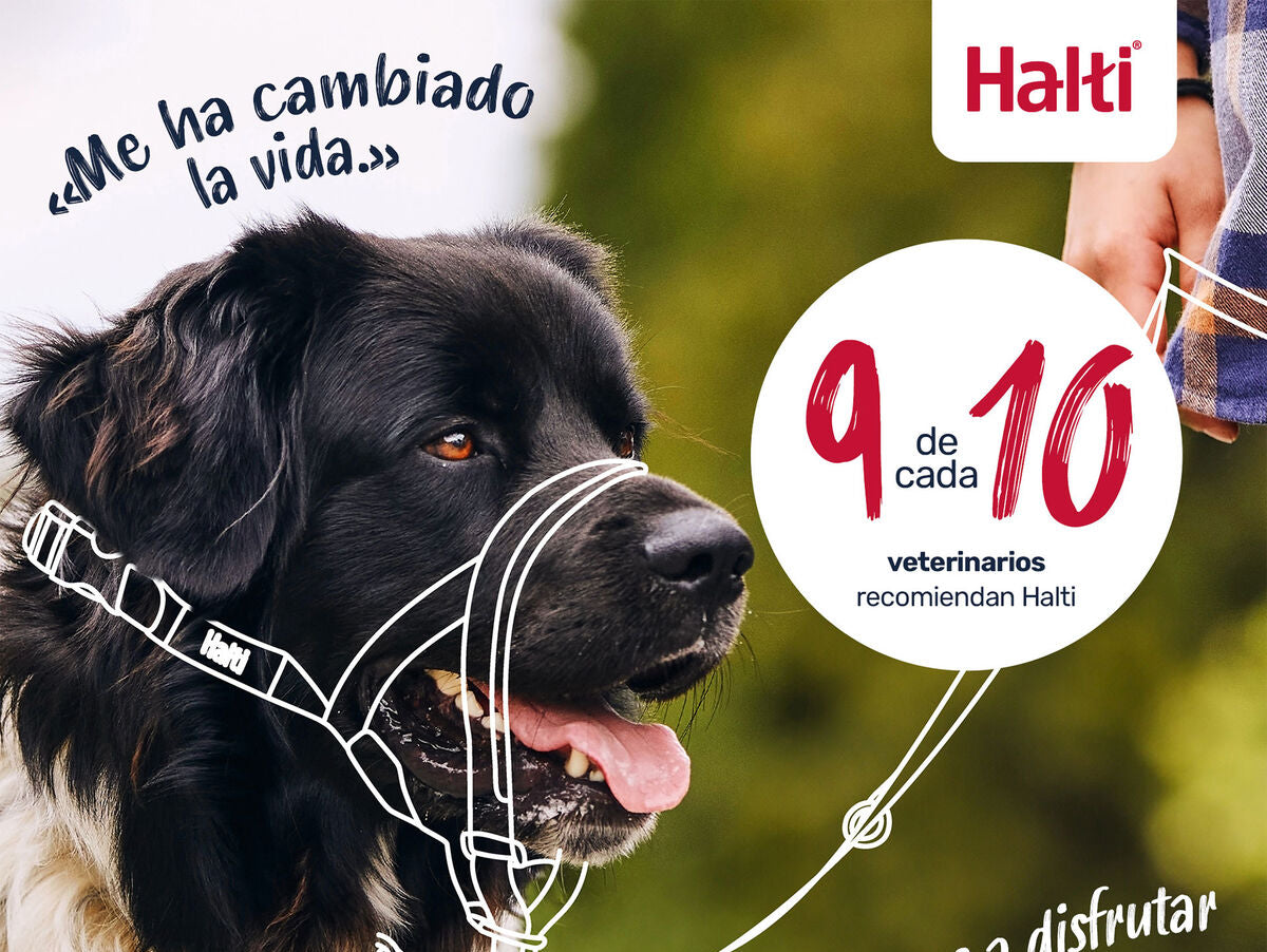 V4H9807DE189F9972D13A3ED946B29EE85CR7523937P5