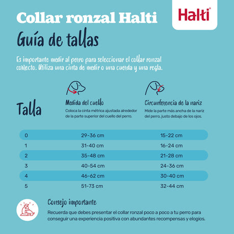 V4H1892876D11A4B1A08B62AF1A65F54F95R7523905P2