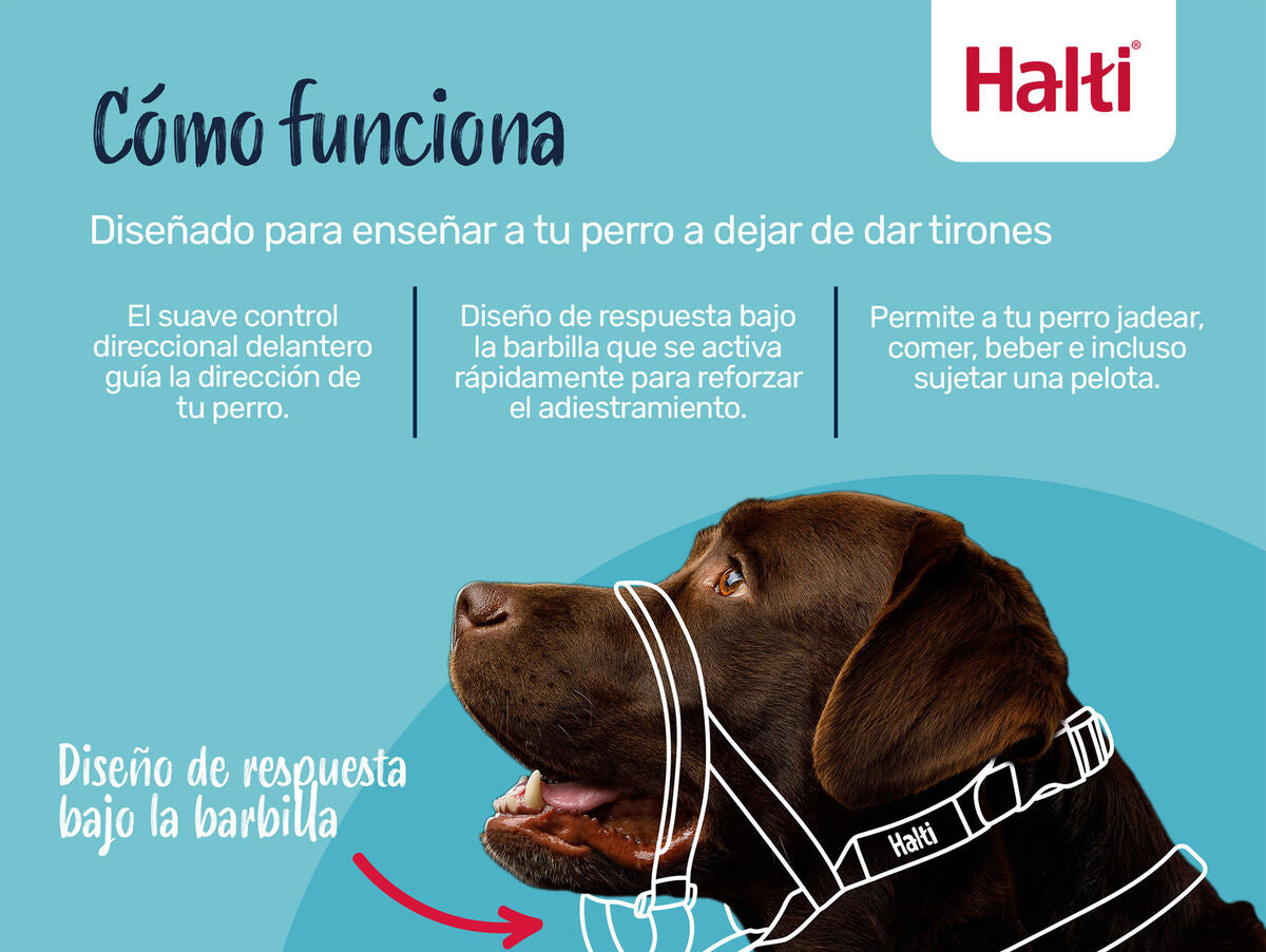 V4H0FC562DC866A624A5A8F399F7439614AR7523910P4