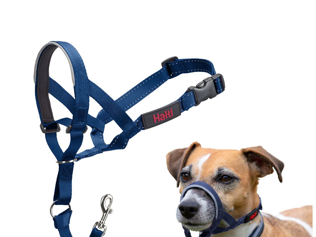 V4H96F48FB7760BD1984EE39EC1F7F72437R7523914P6