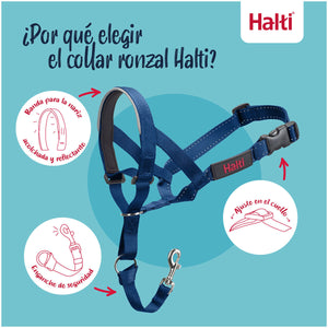 V4HEFDD706DDAA7C1D7C8D1EB84C211A4D6R7523916P7