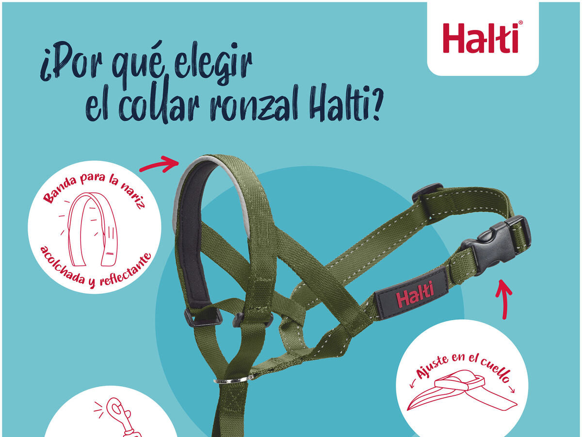 V4H95B2F7E4FB54A6A99B2A1713DCBF92DCR7523901P7