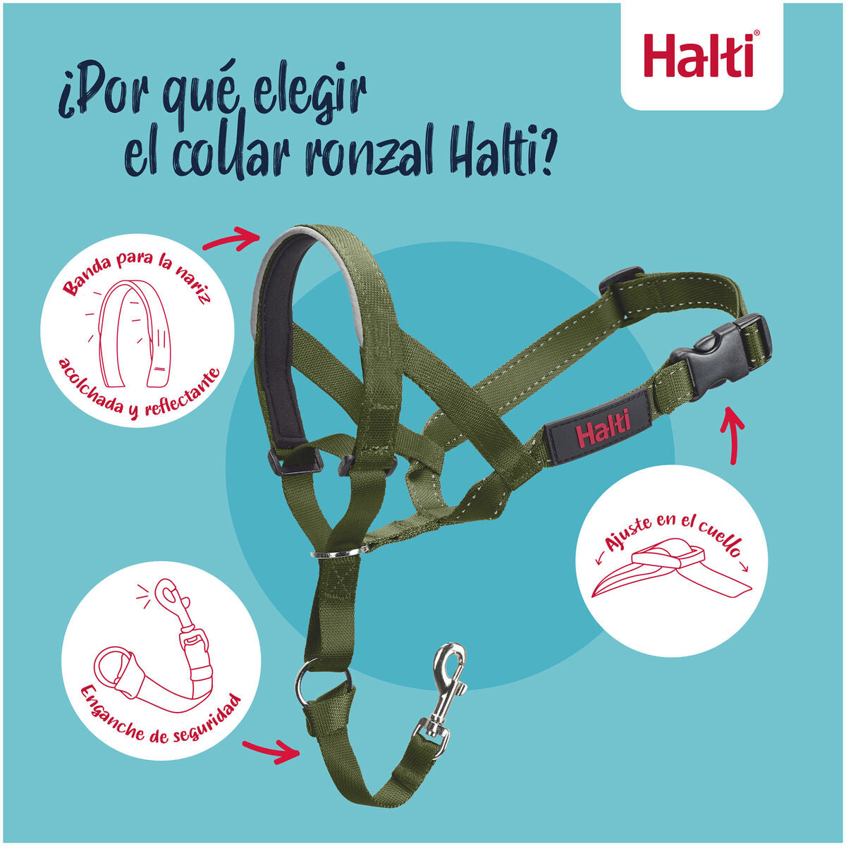 V4H95B2F7E4FB54A6A99B2A1713DCBF92DCR7523901P7