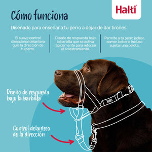 V4H9C0912AFF9C68C5BC60F990D316CC1D2R7523852P4