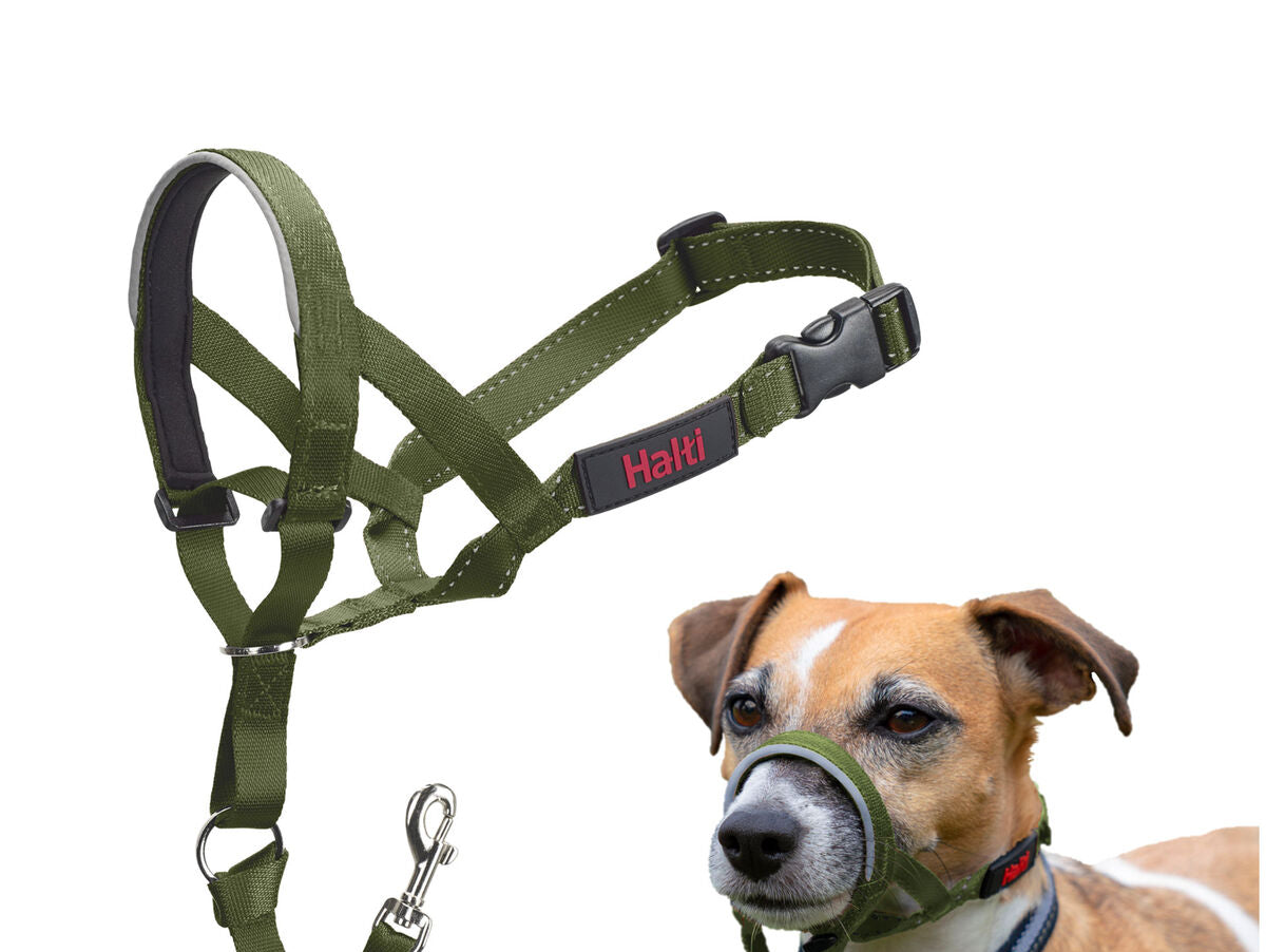 V4HFAEA17B3237EC4975450A7998107B44BR7523854P6